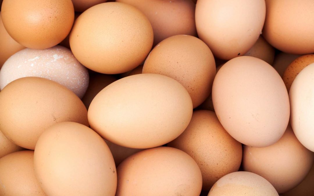 Switching All Liquid Eggs to Cage-Free